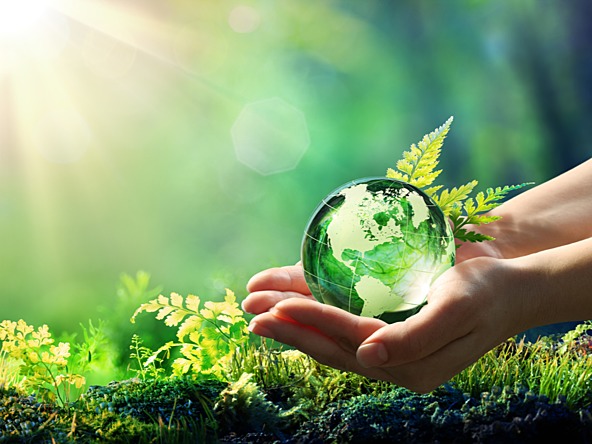A green earth held by human hands in a forest raised to the sun